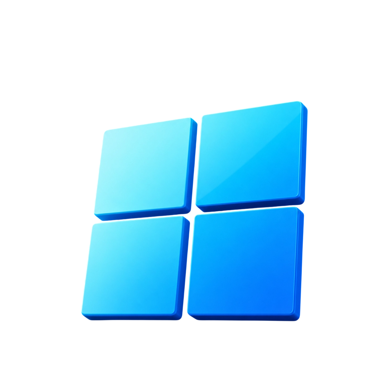 WINDOWS